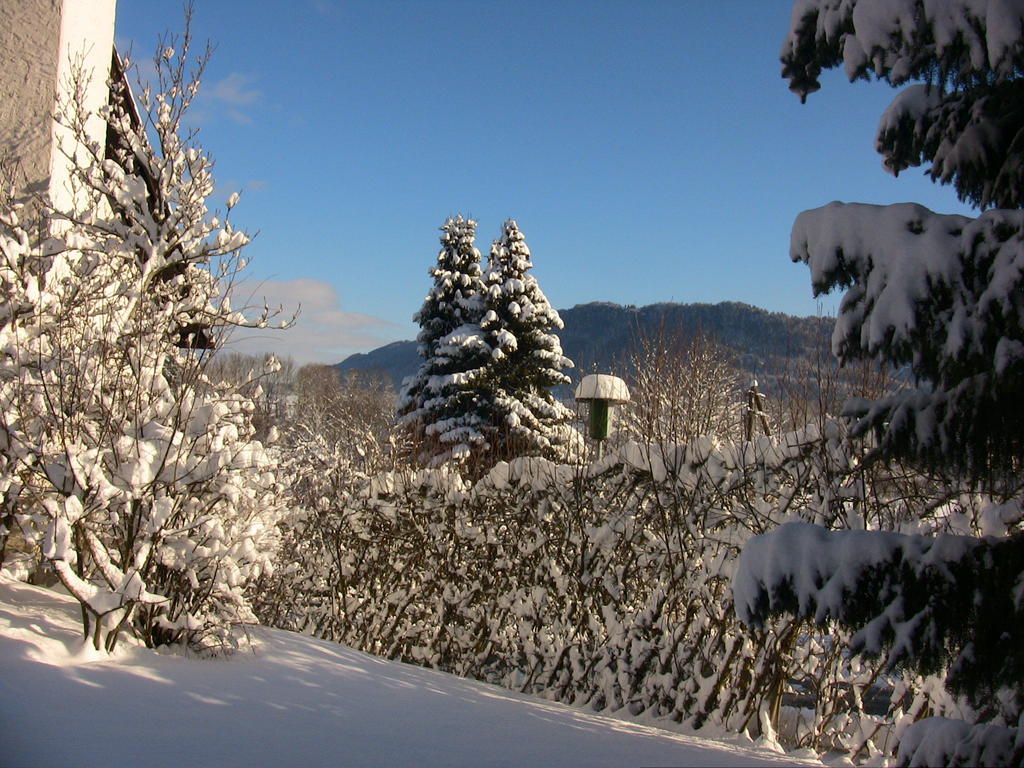 Apartment Allgaeuer Bergwelt